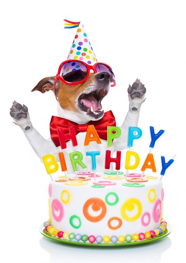 Doggy Birthday  Feliz Aniversário  Enviar online cartões 