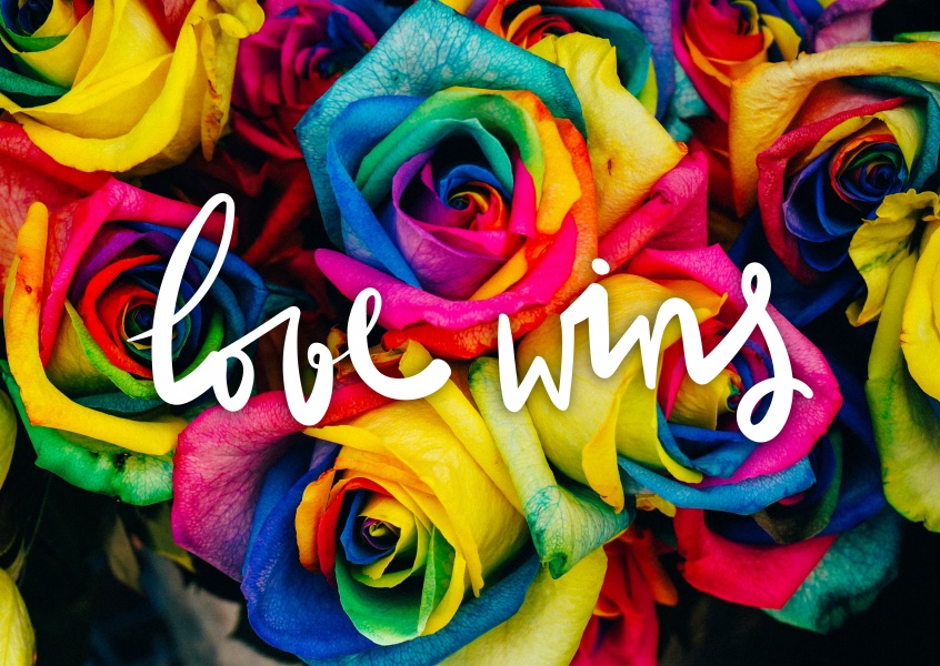 Love wins  Love Cards  Send real postcards online